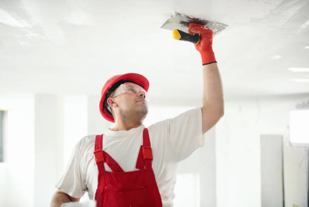 Reliable Colesville, MD Painting & Drywall Installation Solutions